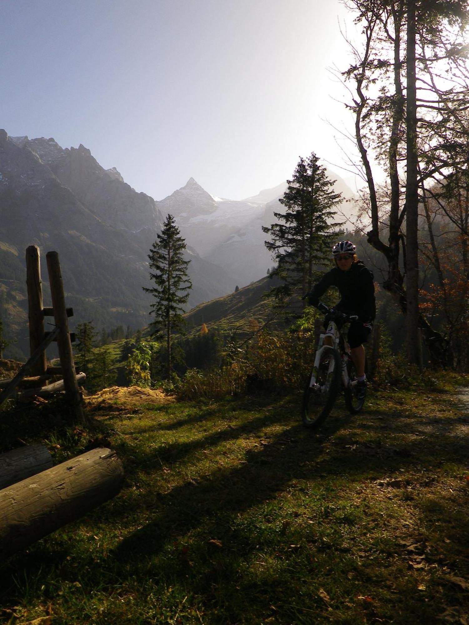 Alpenlodge Willigen Екстер'єр фото