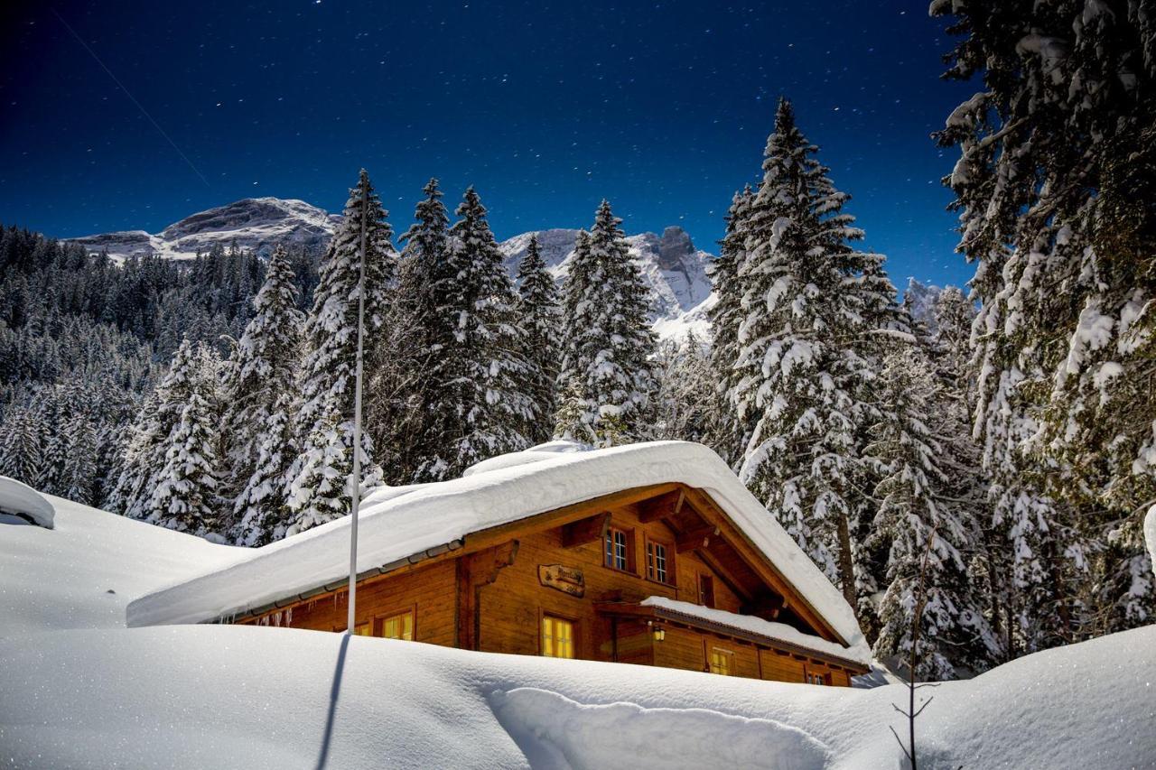 Alpenlodge Willigen Екстер'єр фото