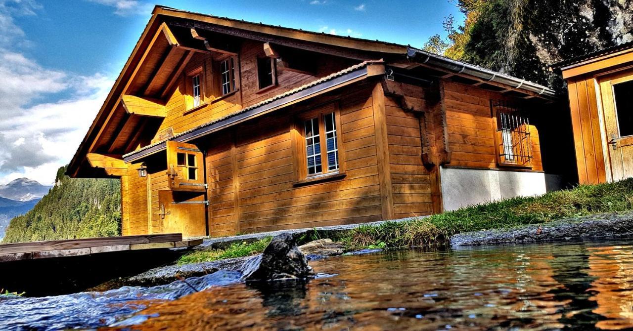 Alpenlodge Willigen Екстер'єр фото