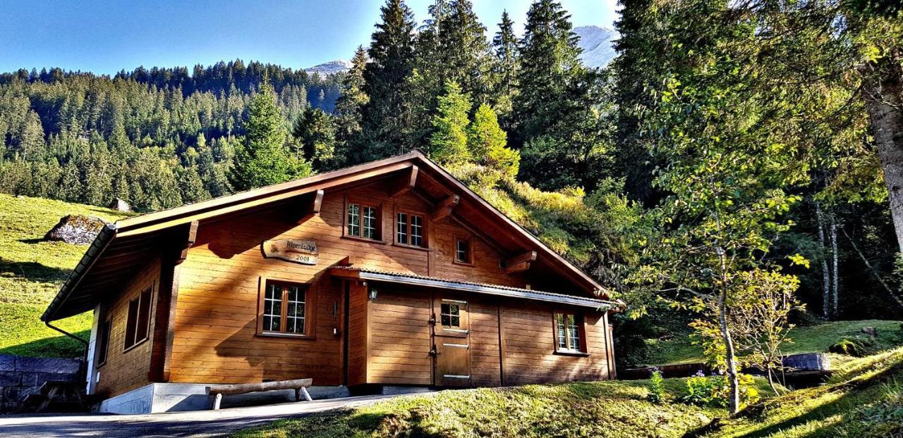 Alpenlodge Willigen Екстер'єр фото