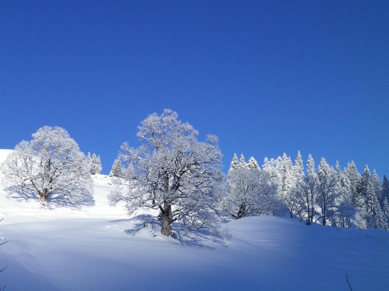 Alpenlodge Willigen Екстер'єр фото