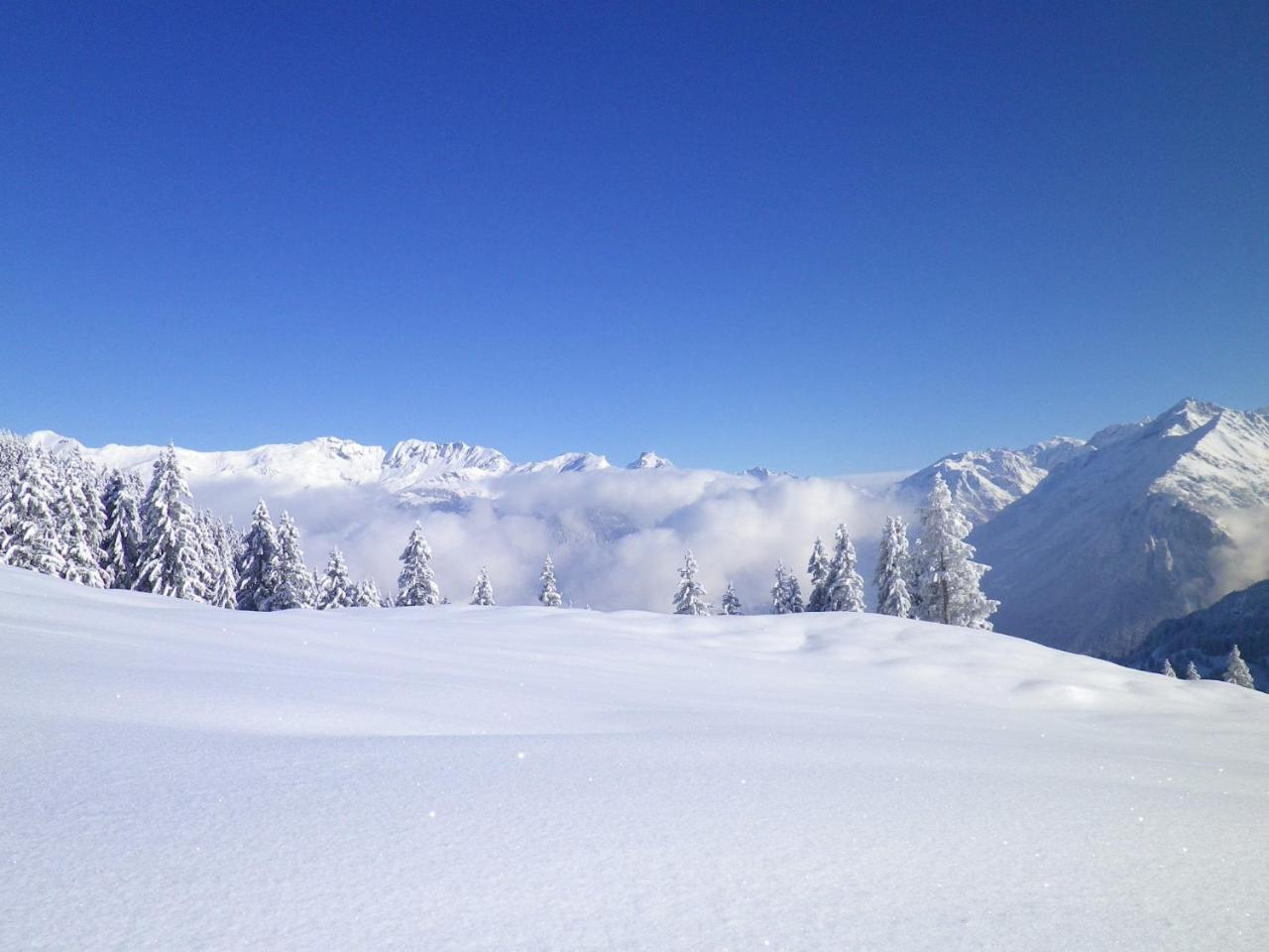 Alpenlodge Willigen Екстер'єр фото