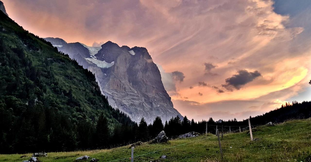 Alpenlodge Willigen Екстер'єр фото