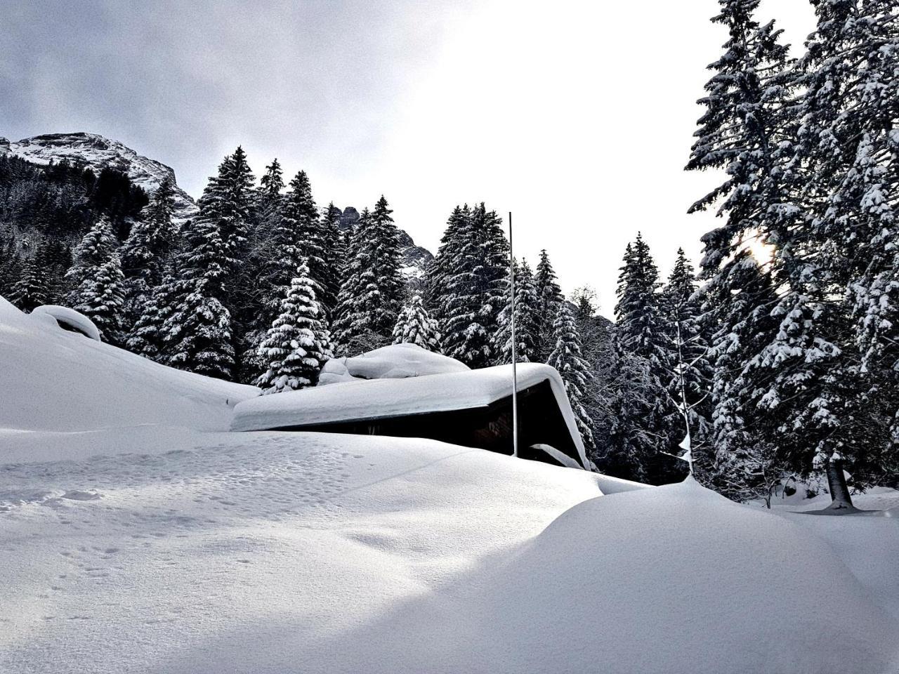Alpenlodge Willigen Екстер'єр фото