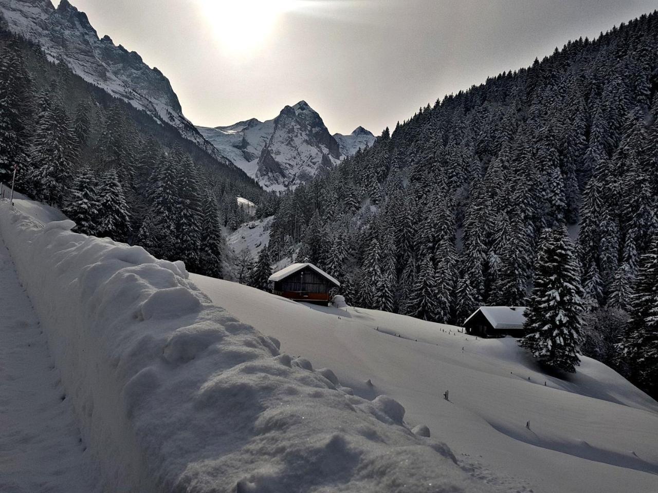 Alpenlodge Willigen Екстер'єр фото