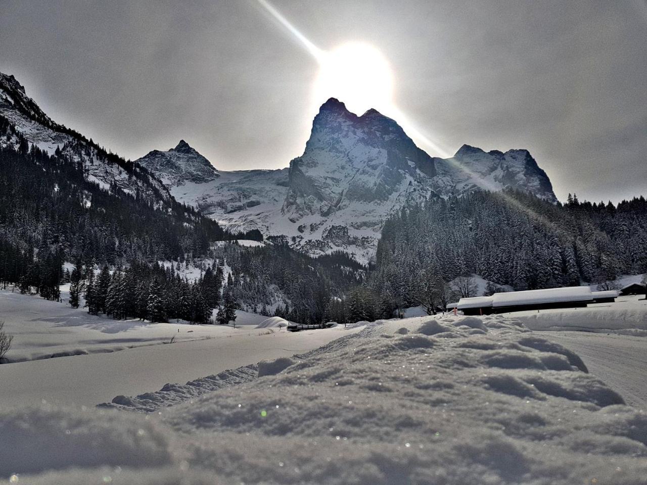 Alpenlodge Willigen Екстер'єр фото