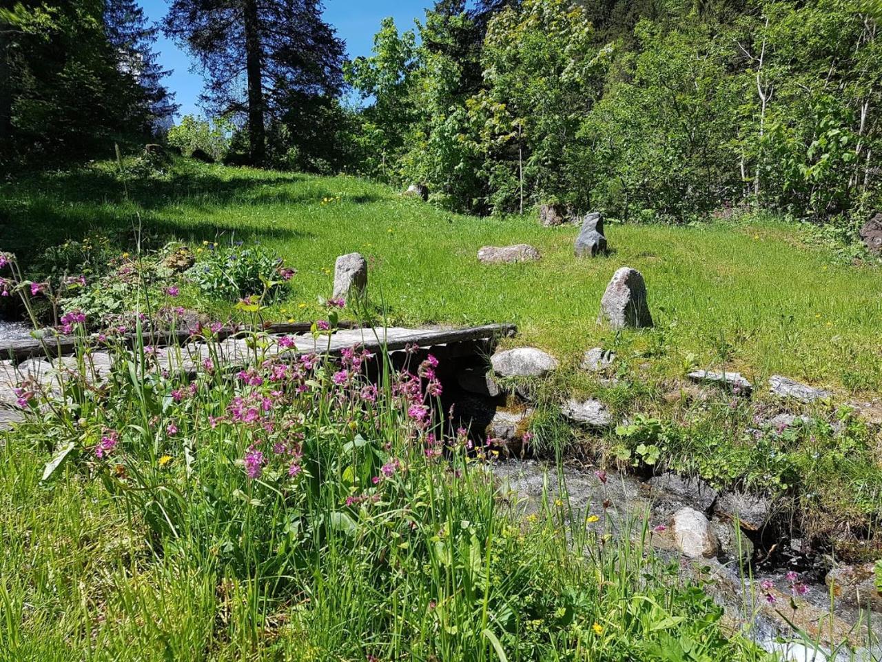 Alpenlodge Willigen Екстер'єр фото