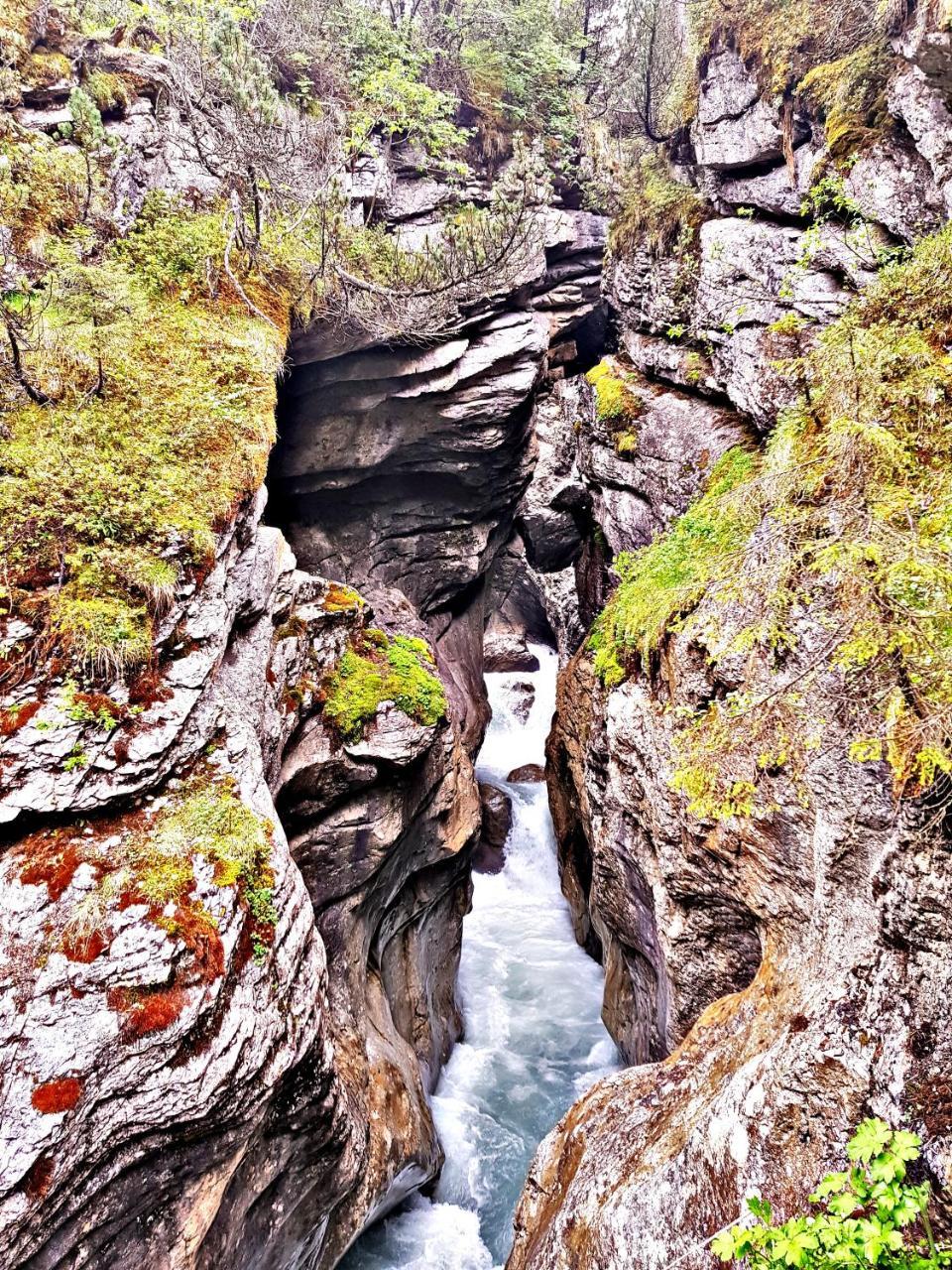 Alpenlodge Willigen Екстер'єр фото