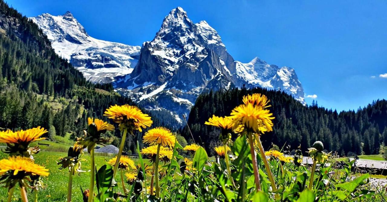 Alpenlodge Willigen Екстер'єр фото