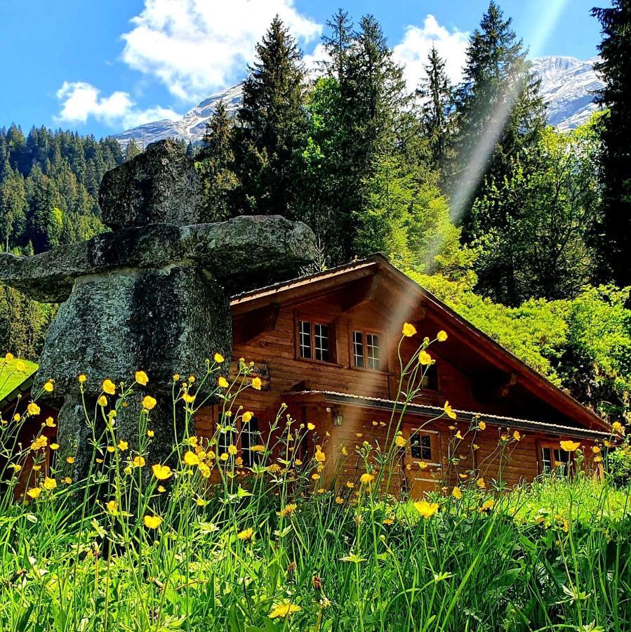 Alpenlodge Willigen Екстер'єр фото