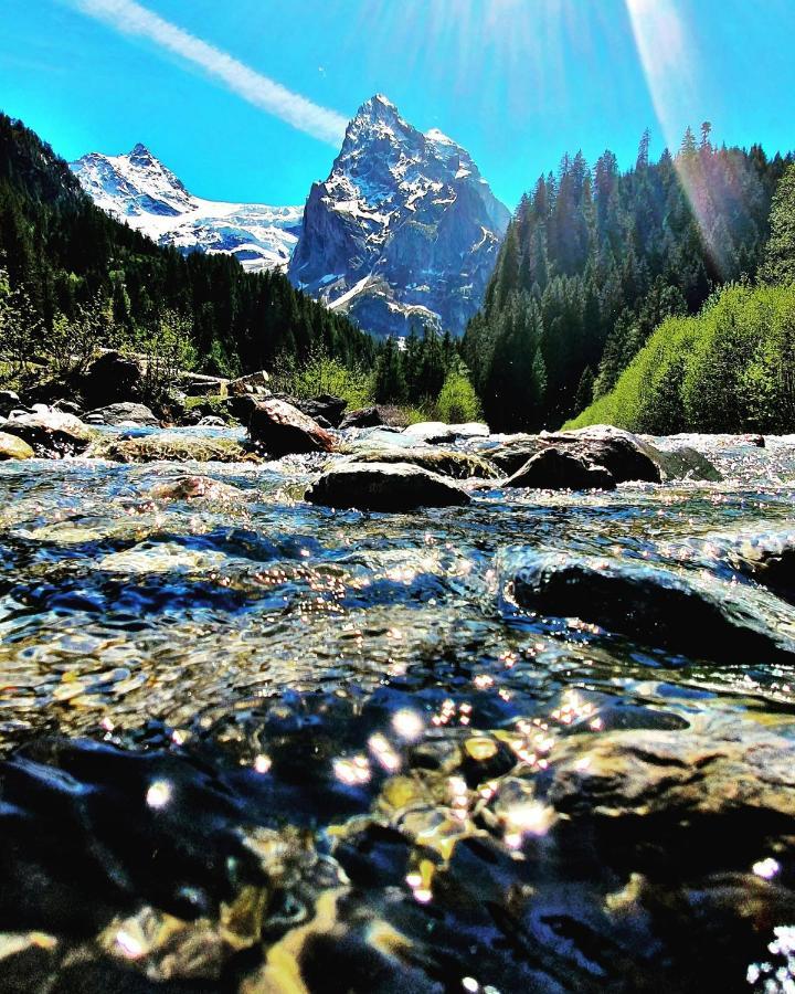 Alpenlodge Willigen Екстер'єр фото